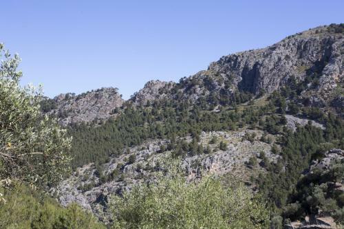 Villa Es Coco