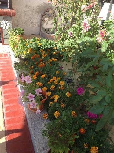 Apartamento Villa Rafailia