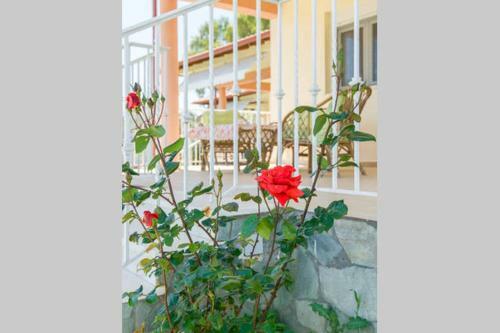 Apartamento Chalkidiki Nea Plagia Flogita Beach