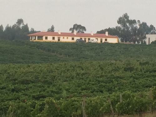 Agroturismo Herdade Do Gamito