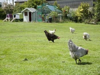 Padley Farm B&B