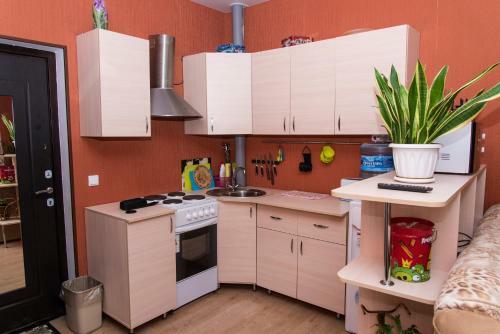 Hostal V Aleksino Guest House