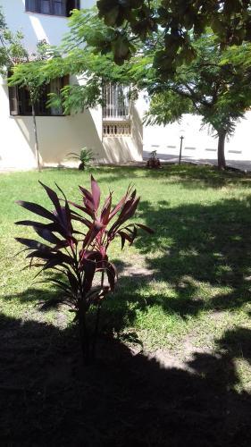 Platinum Hotels Mombasa