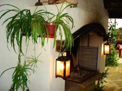 Hostal Proinovska House