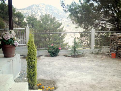 Agros Timber Log House