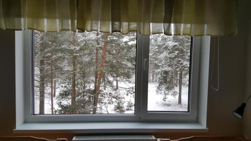 Albergue M�nniku Jalgpallikeskus