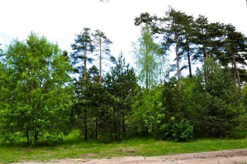 Albergue M�nniku Jalgpallikeskus