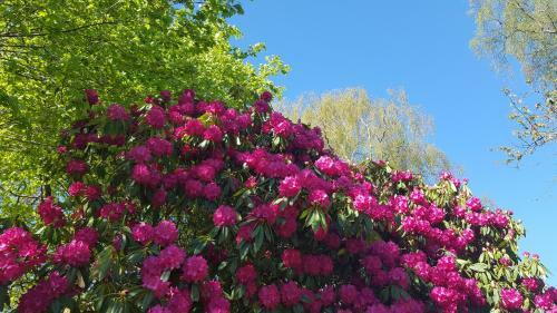Bed & Breakfast Cruachan House