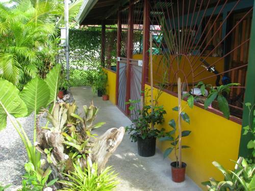 Apartamento Caribbean Comfort