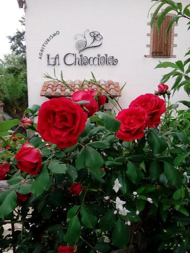 Agroturismo Agriturismo La Chiocciola