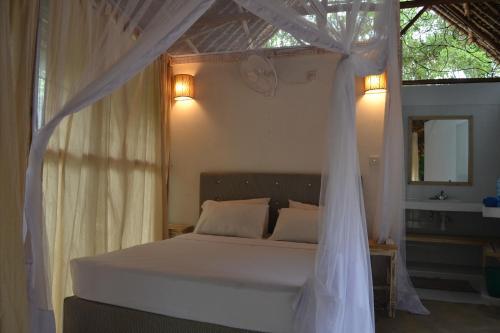 Turtle Bay Bed And Breakfast