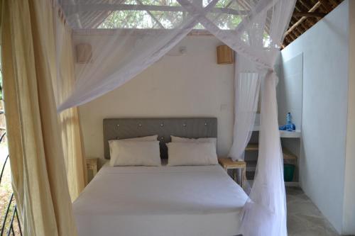 Turtle Bay Bed And Breakfast