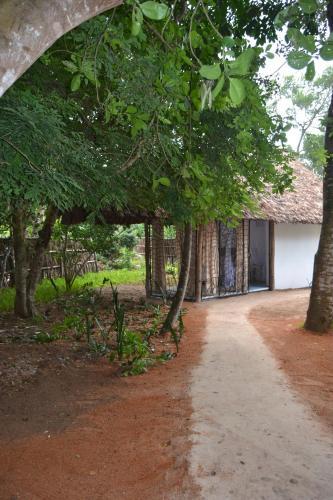 Turtle Bay Bed And Breakfast