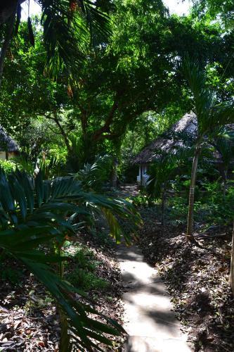 Turtle Bay Bed And Breakfast