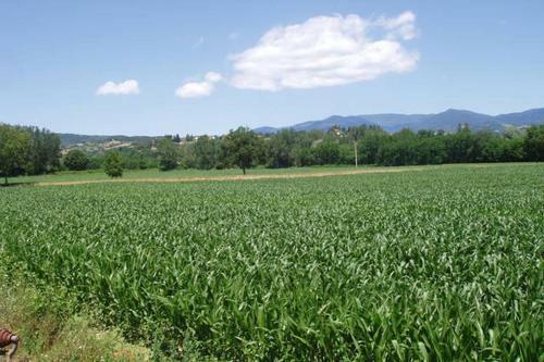 Agroturismo Podere Casina Rossa