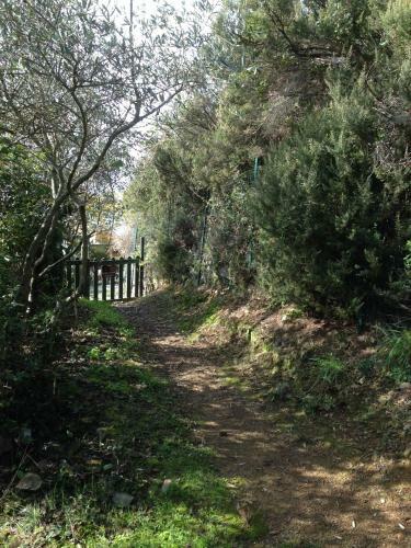 Agroturismo Il Nettare Agriturismo