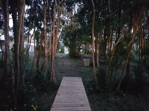 Caba�as Del Lago Huillinco