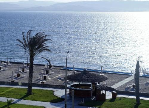 Paracas Apartmento De Ensue�o