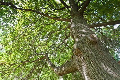 Agroturismo Ou Tol - Cango Retreat