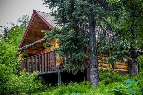 Lodge Midnight Sun Log Cabins