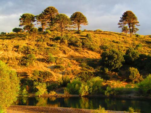 Posada La Berendina