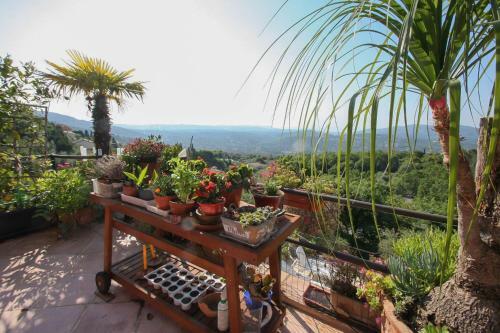 Apartamento Locaspera