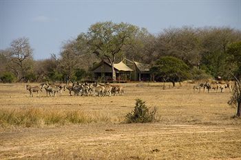 Hotel Rhino Walking Safaris