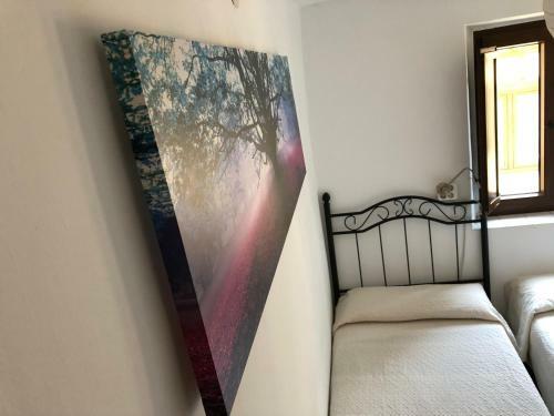 Albergue Rosalia / Pilgrim Hostel