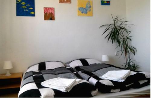 Apartm�n ??�r