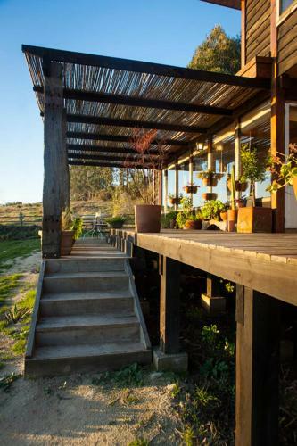 Punta De Lobos House