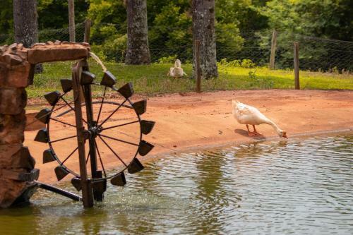 Agroturismo Hotel Fazenda Jaca�na