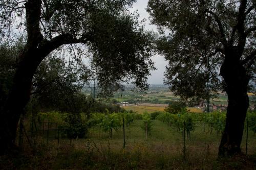 Agroturismo Agriturismo La Grotta