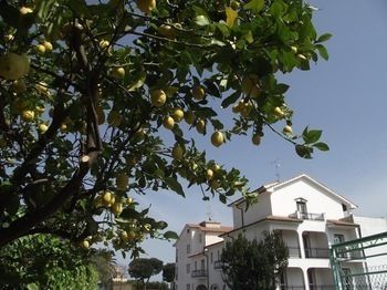 Residencia Riviera Suite Apartments