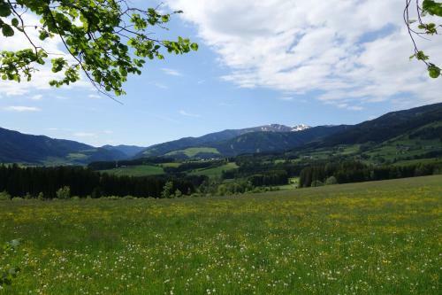 Apartamento Bio- U. Gesundheitsbauernhof Offenbacher