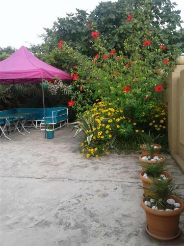 Hostal Gonio House