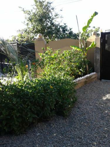 Hostal Gonio House