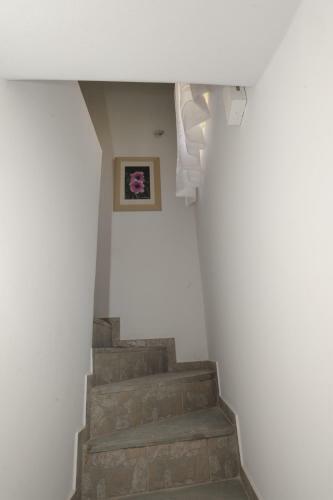 Thomas Traditional Apartments