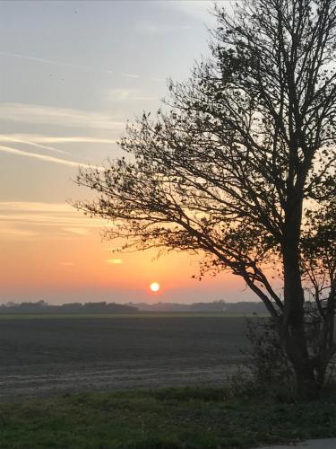 Bed & Breakfast Boerderij De Waard