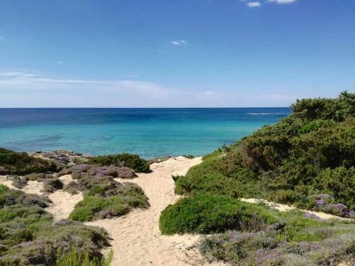 B&B Forim�a