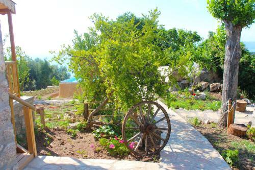 Hostal Faralya Yoruk Evi Hotel