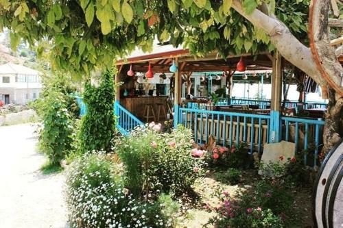 Hostal Faralya Yoruk Evi Hotel