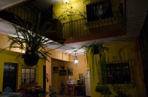 Albergue Maison Bougainvillea