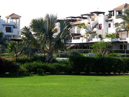 Apartamento Venavera Playa Jardines E1-1c