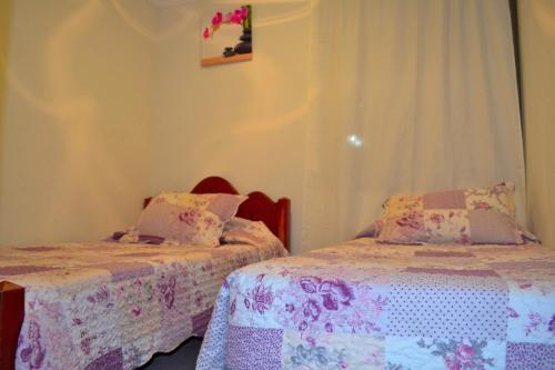 Apartamentos Alma Surire