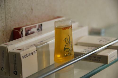Hotel Larica Inn Rajarhat
