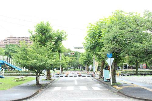 Hostal Katsuo Guest House