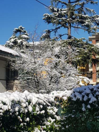 B&B Villa Rivabella