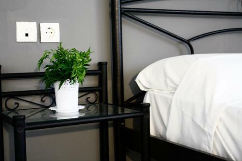 Culturela Apartments