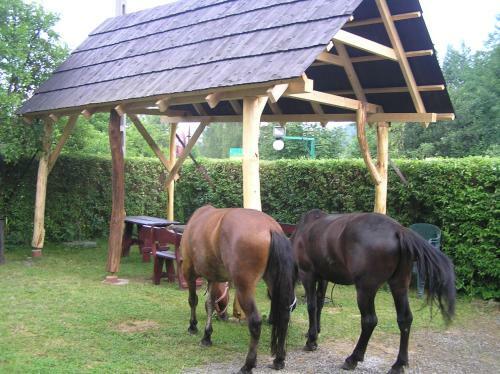Hostal Willa Pod Brzozami