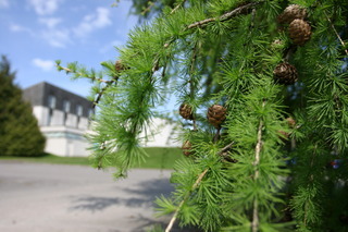 Crerar Eight Acres Hotel